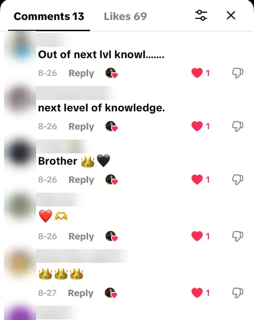 TikTok comments calling the analysis next level knowledge